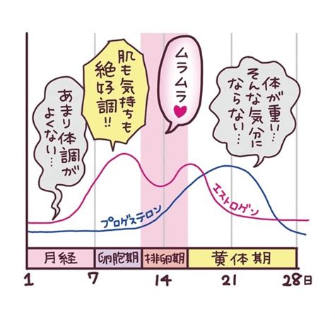 生理周期 ムラムラ|生理後は性欲が強くなる？生理周期別の性に関する過ごし方を紹。